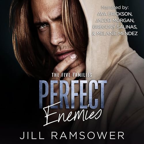 Cover of Perfect Enemies