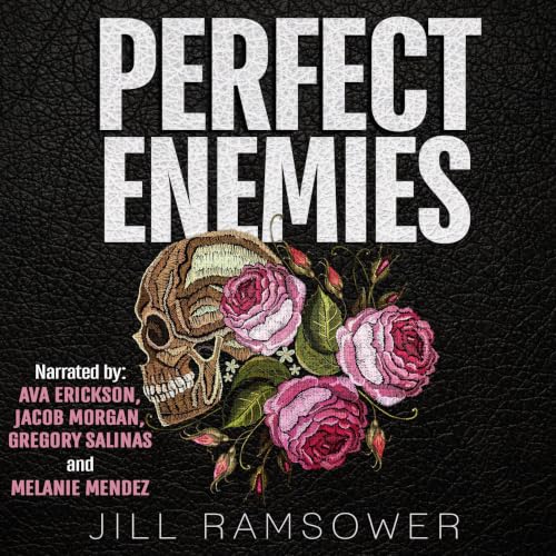 Cover of Perfect Enemies