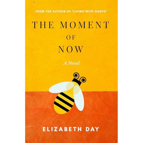 Cover of The Moment of Now