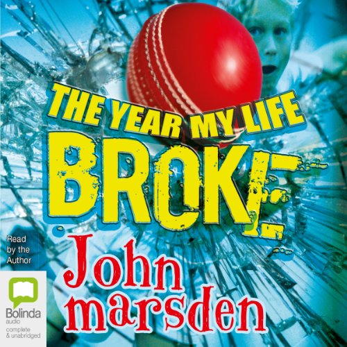 Cover of The Year My Life Broke