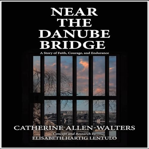 Cover of Near the Danube Bridge