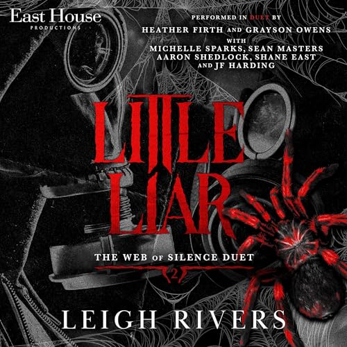 Cover of Little Liar