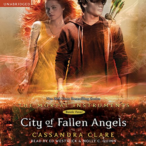 Cover of City of Fallen Angels