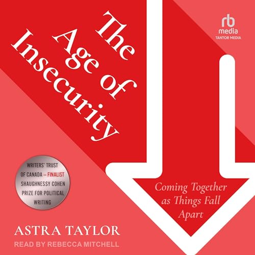 Cover of The Age of Insecurity