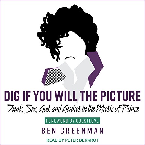 Cover of Dig If You Will the Picture
