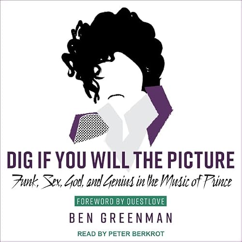 Cover of Dig If You Will the Picture