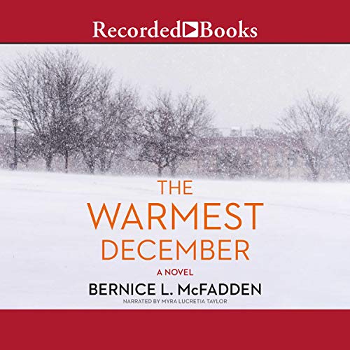 Cover of The Warmest December