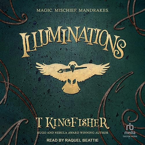 Cover of Illuminations