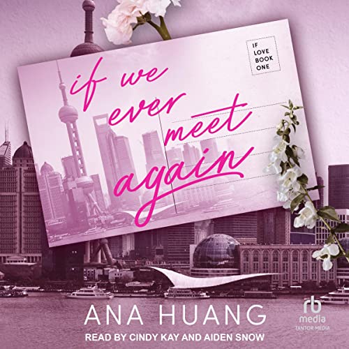 Cover of If We Ever Meet Again