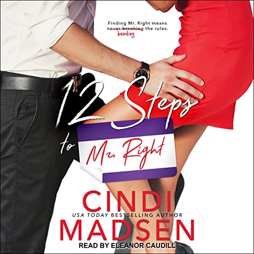 Cover of 12 Steps to Mr. Right