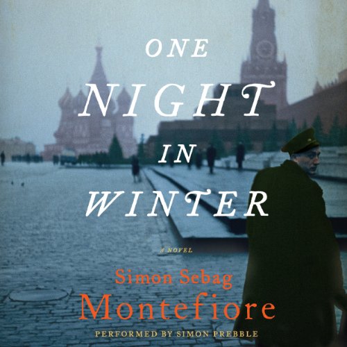 Cover of One Night in Winter