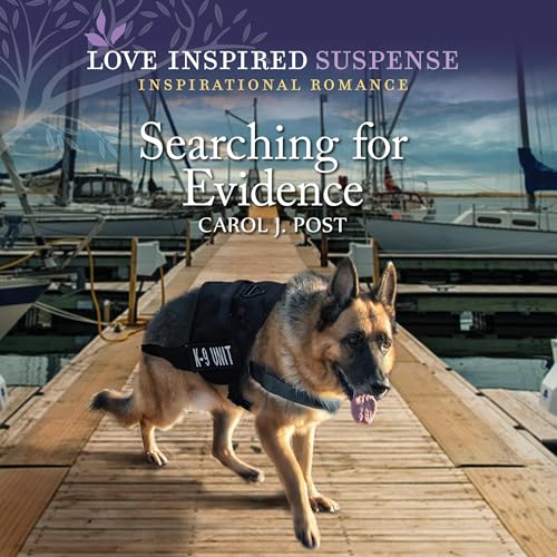 Cover of Searching for Evidence