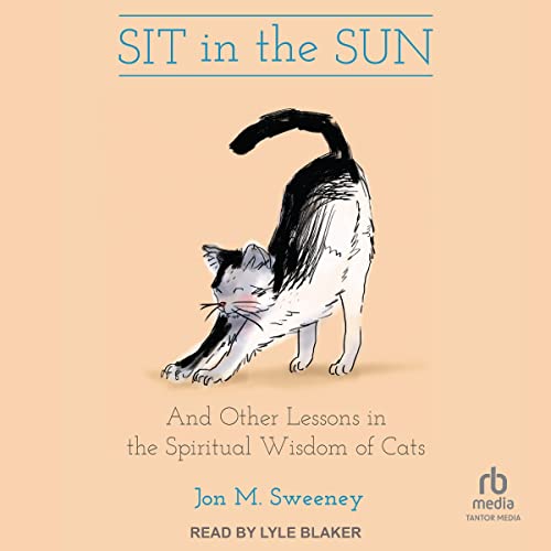 Cover of Sit in the Sun