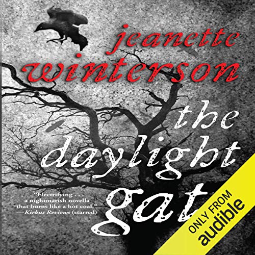Cover of The Daylight Gate