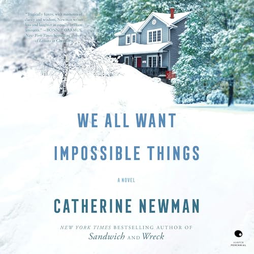 Cover of We All Want Impossible Things