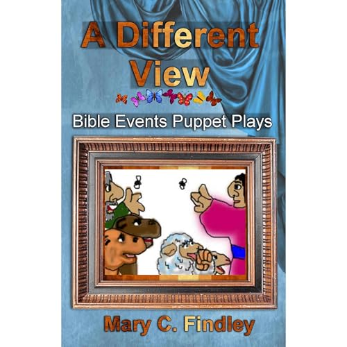 Cover of A Different View