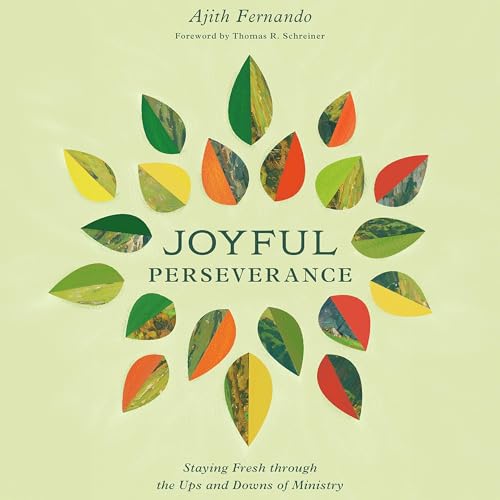 Cover of Joyful Perseverance