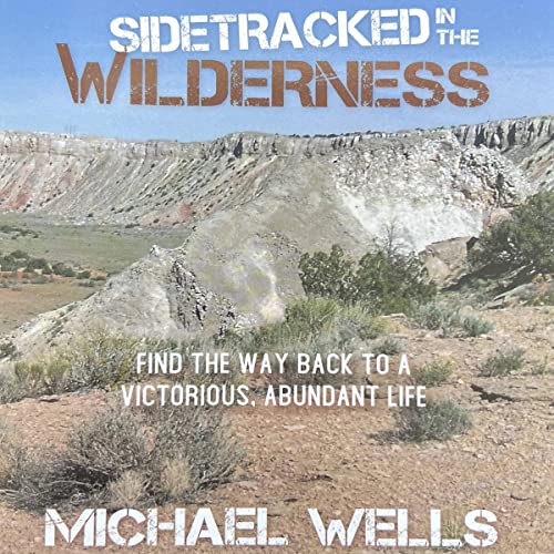 Cover of Sidetracked in the Wilderness
