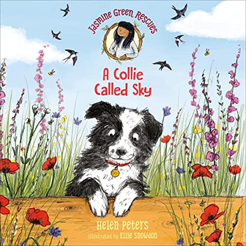 Cover of Jasmine Green Rescues: A Collie Called Sky