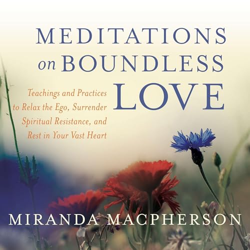 Cover of Meditations on Boundless Love