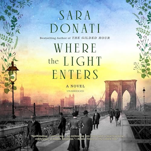 Cover of Where the Light Enters