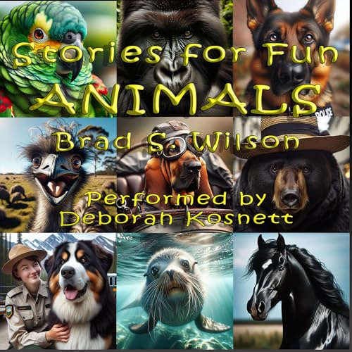 Cover of Stories for Fun
