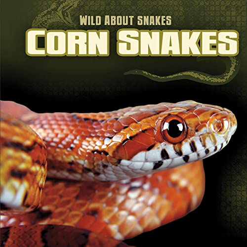 Cover of Corn Snakes