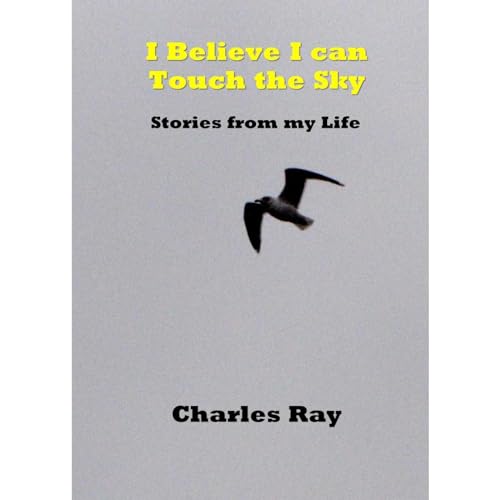 Cover of I Believe I Can Touch the Sky
