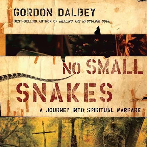 Cover of No Small Snakes