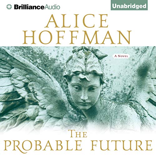 Cover of The Probable Future