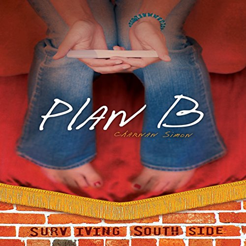 Cover of Plan B