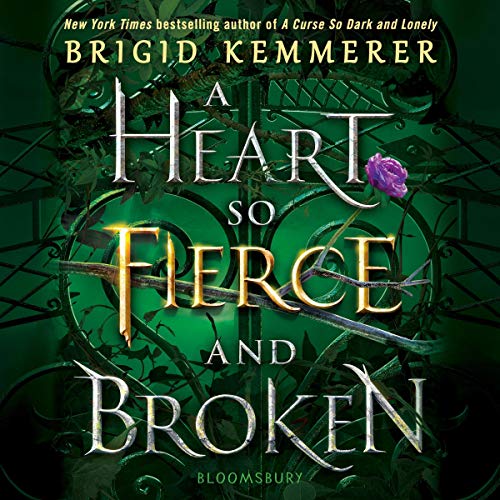 Cover of A Heart So Fierce and Broken
