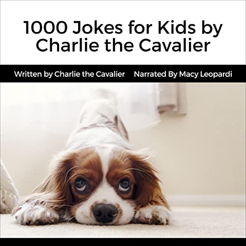Cover of 1000 Jokes for Kids