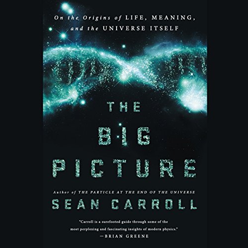 Cover of The Big Picture