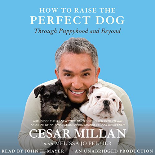 Cover of How to Raise the Perfect Dog