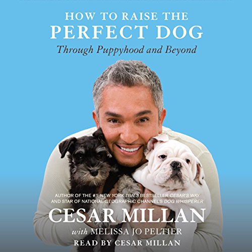 Cover of How to Raise the Perfect Dog