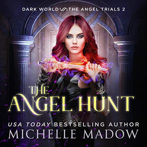 Cover of The Angel Hunt