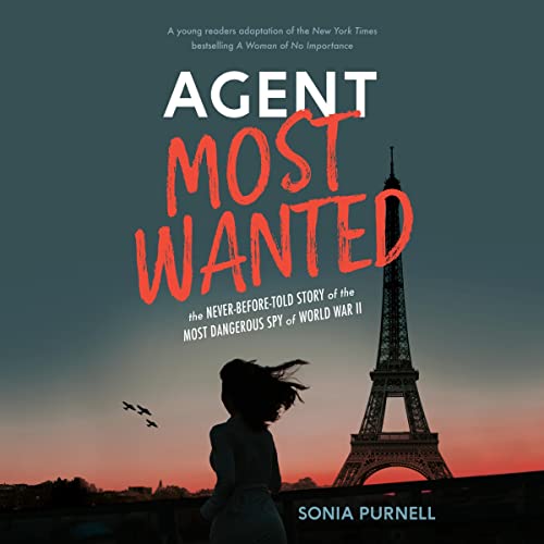 Cover of Agent Most Wanted
