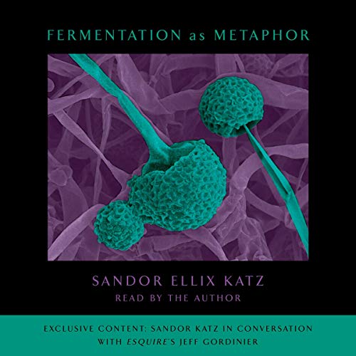 Cover of Fermentation as Metaphor