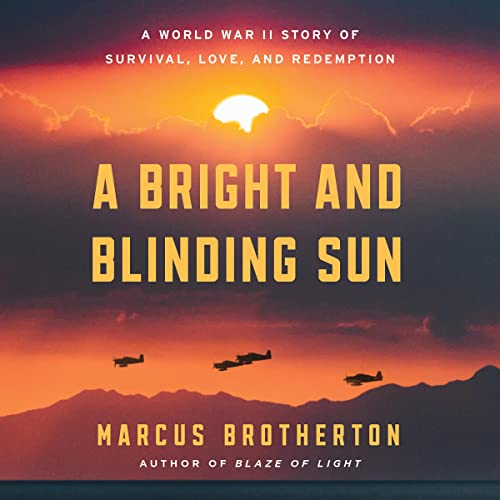 Cover of A Bright and Blinding Sun