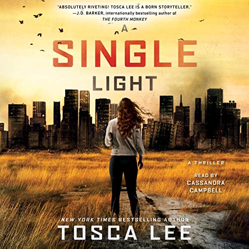Cover of A Single Light