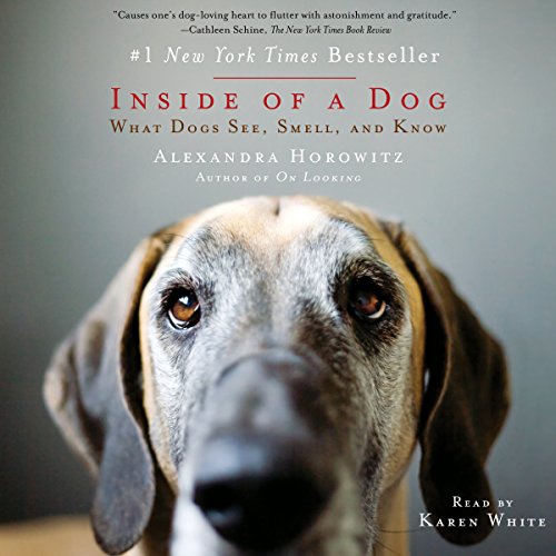 Cover of Inside of a Dog