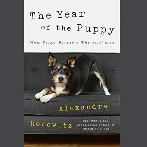 Cover of The Year of the Puppy