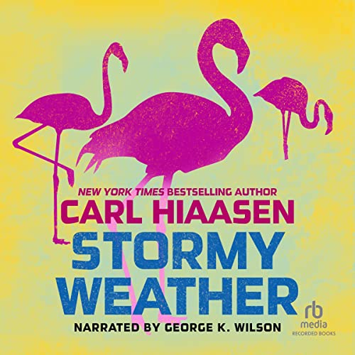 Cover of Stormy Weather
