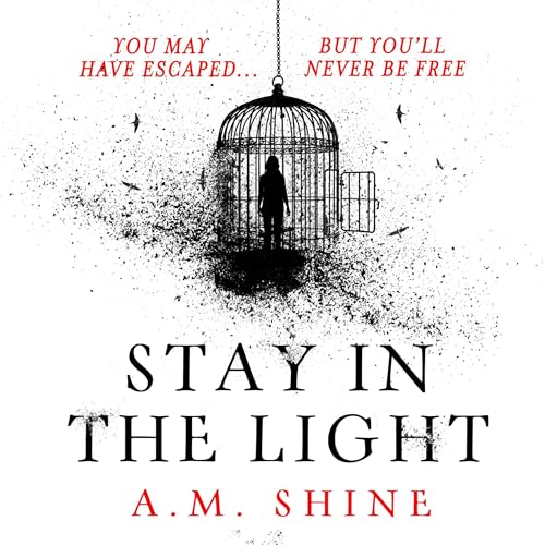 Cover of Stay in the Light