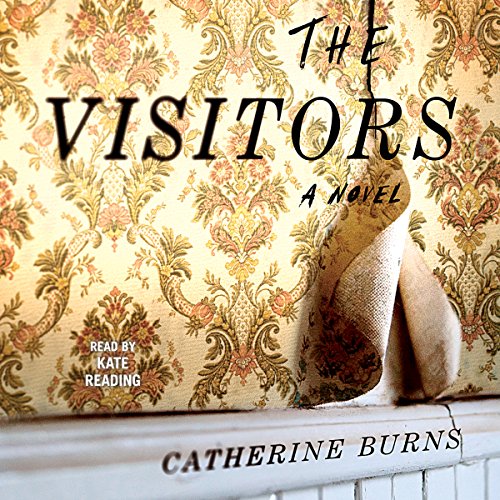 Cover of The Visitors
