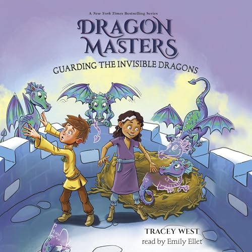 Cover of Guarding the Invisible Dragons