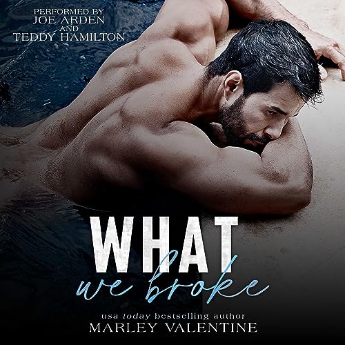 Cover of What We Broke