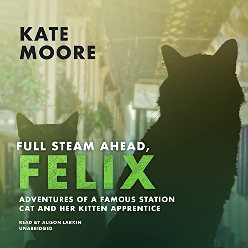 Cover of Full Steam Ahead, Felix!