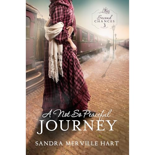 Cover of A Not So Peaceful Journey